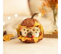 Autumn Decor Pumpkin Decoration with Owls Fall Decoration 17cm Marco Paul Orange One Size