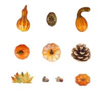 Autumn Decorations for Home, Various Artificial Mini Pumpkins with Maple Leaves, Pine Cones, Acorns and Berries, Autumn Decoration Set, Thanksgiving Decoration for Table, Mantle