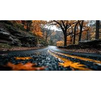 Autumn Diamond Art, 5D Diamond Painting Landscape, DIY Full Drill Gem Art Kits Adults Beginner Mosaic Making Kits, Cross Stitch Crystal Paintings Craft for Room Decor, Gifts 80x40cm - KF0195X