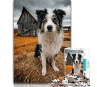 Autumn Dog 1000 Piece Jigsaw Puzzle for Adults And Teenagers,Decompressing Intellectual Educational Toy Secret Santa Gifts (75x50cm)