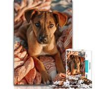 Autumn Dog 1000 Piece Jigsaw Puzzle for Adults Teens,Brain Intelligence Challenge Addictive Toys for Home Decoration (38x26cm)