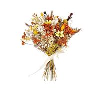 Autumn Dried Flower Bouquet Gypsophila Crystal Flower Oncidium Mixed Flower Bouquet Small Dried Flower Arrangements Eucalyptus Floral Bouquets for Home Wedding Decor (C: