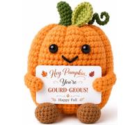 Autumn Fall Decorations for Home on Thanksgiving, Fall Basket Stuffer for Women Handmade Crochet Pumpkin with Postive Card, Halloween Thanksgiving Gifts for Women Hostess Teachers Friends Coworkers