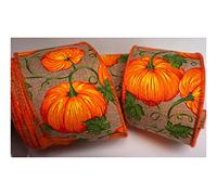 Autumn Fall Harvest Thanksgiving Wire Wired Edge Ribbon - Wreath Wedding Vintage (Orange Pumpkin Burlap 2.5", 3m)