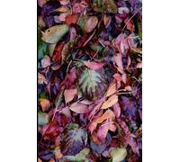 Autumn Fall Leaves A5 Hardback Lined Glossy Notebook: Purple Autumn Notebook, Fall stationery Gift, Autumn Vibes, Gift for Autumn Lovers, Stocking Filler
