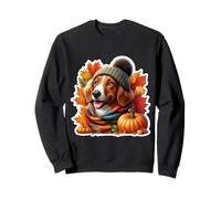 Autumn Fall Nederlandse Kooikerhondje Dog Owner Thanksgiving Sweatshirt
