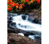 Autumn Falls Paperback Journal: 300 pages, lined