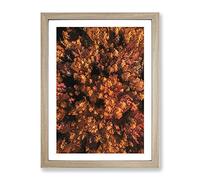 Autumn Forest In Bloom In Abstract Modern Framed Print | A3 Oak Framed Wall Art | Ready to Hang | Abstract Landscape Picture | Living Room Bedroom Lounge Office