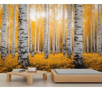 Autumn Forest Mural Birch Forest Wallpaper Natural Scenery Wall Mural Panoramic Office Reception Studio Backdrop Custom Photo Wallpaper (Non-self-Adhesive)