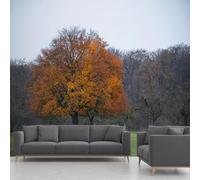 Autumn Forest Mural, Fall Tree Grassland Wallpaper, Panoramic Wall Mural for Living Room Bedroom Hallway Restaurant Home Decoration - 450x315 cm Wall Paper
