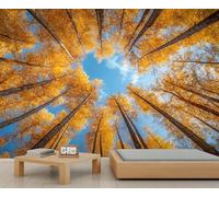 Autumn Forest Mural Forest Landscape Wallpaper Natural Scenery Wall Mural Oversized Wall Poster Style Playroom Cafe Decor Poster Background Decor (Non-self-Adhesive)