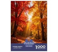 Autumn Forest Path 1000 Piece Jigsaw Puzzles Impossible Hard Challenge Modern Paisaje Educational Game for The Whole Gifts for Women Men 70x50cm/1000pcs