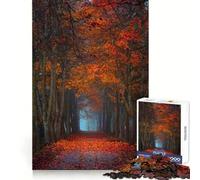 Autumn Forest Path 1000 Pieces Jigsaw Puzzles for Adults Reasoning Practice Mindful Escape Premium Edges Holiday Treat (38x52cm)