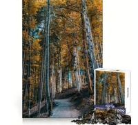 Autumn Forest Path for Adults 1000 Piece Puzzle Mental Skill Gentle Engagement Solid Fit Chic Xmas Gift (50x75cm)