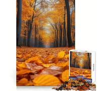 Autumn Forest Path Jigsaw Puzzles for Teenagers 1000 Piece Brain Wellness Gentle Engagement Perfect Lock Meaningful Gift (50x75cm)