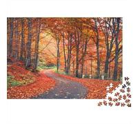 Autumn Forest Path-Nature Landscape Scene 1000 Piece Jigsaws with Precision Cut Personalised Jigsaws Autumn Path As A Party Puzzle Game for Social Gatherings 70x50cm/1000pcs
