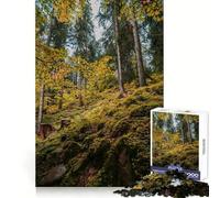 Autumn Forest Path Puzzles for Teenagers 1000 Piece Sharp Memory Leisure Pleasure Neat Edges Winter Gift (38x52cm)
