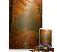 Autumn Forest Path Teenager Jigsaw Puzzles 1000 Pieces Brain Memory Restful Pleasure Tight Lock Meaningful Gift (38x52cm)