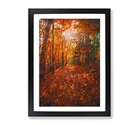 Autumn Forest Pathway In Abstract Modern Framed Wall Art Print, Ready to Hang Picture for Living Room Bedroom Home Office Décor, Black A3 (34 x 46 cm)