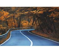 Autumn Forest Road-3000-Piece Puzzle - Fun 3D Puzzle for Adults, High-Definition Printable 14 years+