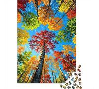 Autumn Forest View 1000 Piece Cardboard Red Maple Sky Art Puzzle for Adults Scratch-resistant Brain Training Eco-friendly 38x26cm/1000pcs