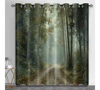 Autumn Forest Window Curtain Panels, Forest Path Kitchen Curtains, Natural Scenery Curtain for Windows Living Room Bedroom Study, 30.3" x 63", 2 Panels