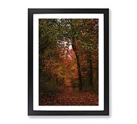Autumn Forest Woodland Path Modern Framed Wall Art Print, Ready to Hang Picture for Living Room Bedroom Home Office Décor, Black A4 (34 x 25 cm)
