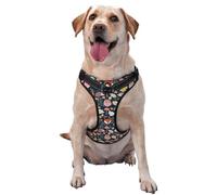 Autumn Fox Owl Pattern Dog Harness - Lightweight,Soft,Adjustable Small Harness and Leash Set, Suitable for Puppy Small and Medium-Sized Dog-Medium