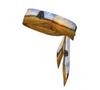 Autumn Golden Grass Landscape Printing 1 Pieces Headband Hair Band Unisex Dry Head Tie Sport Band For Basketball Running Tennis