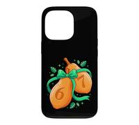 Autumn Gourd 67 Numbers Fall Season Harvest Art Case for iPhone 13 Pro