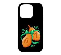 Autumn Gourd 67 Numbers Fall Season Harvest Art Case for iPhone 14 Pro