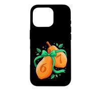 Autumn Gourd 67 Numbers Fall Season Harvest Art Case for iPhone 16 Pro