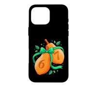 Autumn Gourd 67 Numbers Fall Season Harvest Art Case for iPhone 16 Pro Max