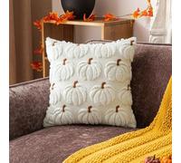 Autumn & Halloween Cushion Covers 45x45cm, Set of 2 Soft Plush Pumpkin Throw Pillow Cases, Fall Thanksgiving Home Decor for Sofa Bed (White brown stems,45x45cm)