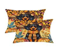 Autumn Harvest Dog Throw Pillow Covers Set of 2 Autumn Harvest Pattern Cushion Covers Seasonal Home Decor for Sofa Bed Thanksgiving Style 50x30cm