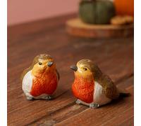 Autumn Harvest Robin Salt & Pepper Pots Country Living Multi One Size