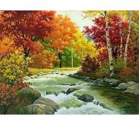 Autumn Hues Landscape with Trees River Jigsaw Puzzle Interactive Fun for Kids and Adults Sturdy Tight Fitting Pieces Boxed Puzzle_500pcs