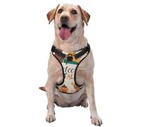 Autumn in The Forest Welcome Fall Pattern Dog Harness - Lightweight,Soft,Adjustable Small Harness and Leash Set, Suitable for Puppy Small and Medium-Sized Dog-Small