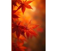 Autumn Inspirations Journal: Quotes for Gratitude, and Self-Discovery