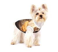Autumn Lab Premium Dog Tshirt - Soft 100% Cotton Ropa Para Perros, Perfect for Small to Medium Dogs, Stylish and Comfortable Shirts for Dogs S