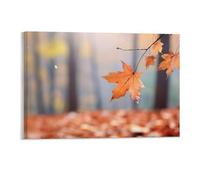 Autumn Landscape Wall Decor Poster, Maple Hanging in Forest Framed Canvas Wall Art for Bathroom Kid's Room, Funny Orange Leaf Artworks, Thanks Giving Gifts, 28x43CM
