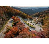 Autumn Leaf Road-500-Piece Puzzle Challenge Wooden Home Decor - A Gift for the Whole Family (14 years+)