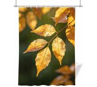 Autumn Leaf Short Shower Curtain 180x150 cm (150cm Drop)