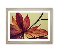 Autumn Leaf Vol.3 Framed Print | A4 Oak Framed Wall Art | Ready to Hang | Modern Floral Picture | Living Room Bedroom Lounge Office
