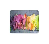 Autumn Leaves Colour Palette Rainbow Mouse Mat Pad - Computer 16129