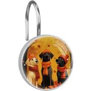 Autumn Leaves Dogs Shower Hooks Rings Set of 12, Rust Proof Stainless Steel Decorative Hangers for Bathroom Shower Curtain Rod