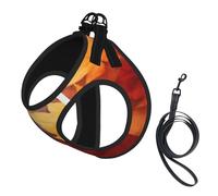 Autumn Leaves Falling River (2),Pet Harness,Adjustable Reflective Dog Harness,Pet Leash Vest,S