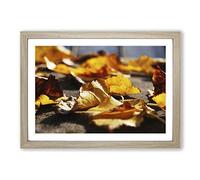 Autumn Leaves on The Ground Framed Print | A2 Oak Framed Wall Art | Ready to Hang | Modern Floral Picture | Living Room Bedroom Lounge Office