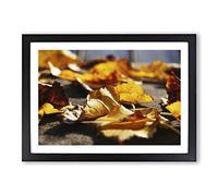 Autumn Leaves on The Ground Framed Print | A2 Oak Framed Wall Art | Ready to Hang | Modern Floral Picture | Living Room Bedroom Lounge Office