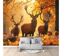 Autumn Leaves Photo Wallpaper Sunset Forest Animal Deer Non-Woven Living Room Bedroom Wall Decoration - Photo Mural- Gaming Room TV Background Wall Decor 150 x 105 cm
